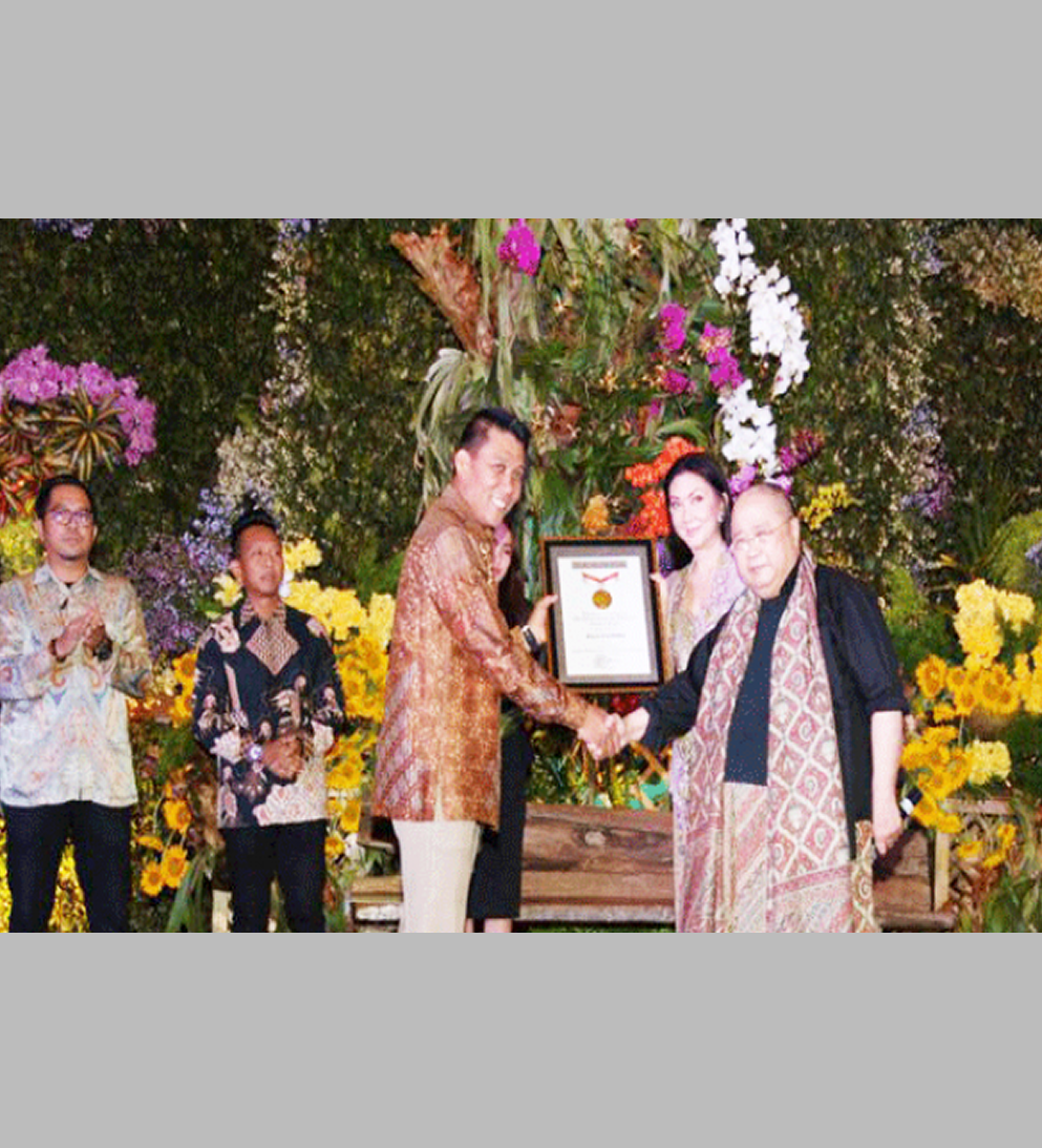 penghargaan pelaminan balai sudirman